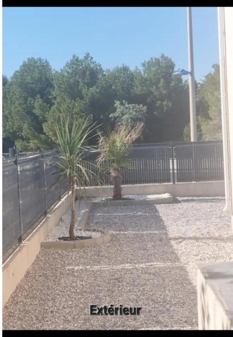 Maison 8 Couchages Clim, Plage A Pied, Petite Piscine 拉诺维勒港 外观 照片